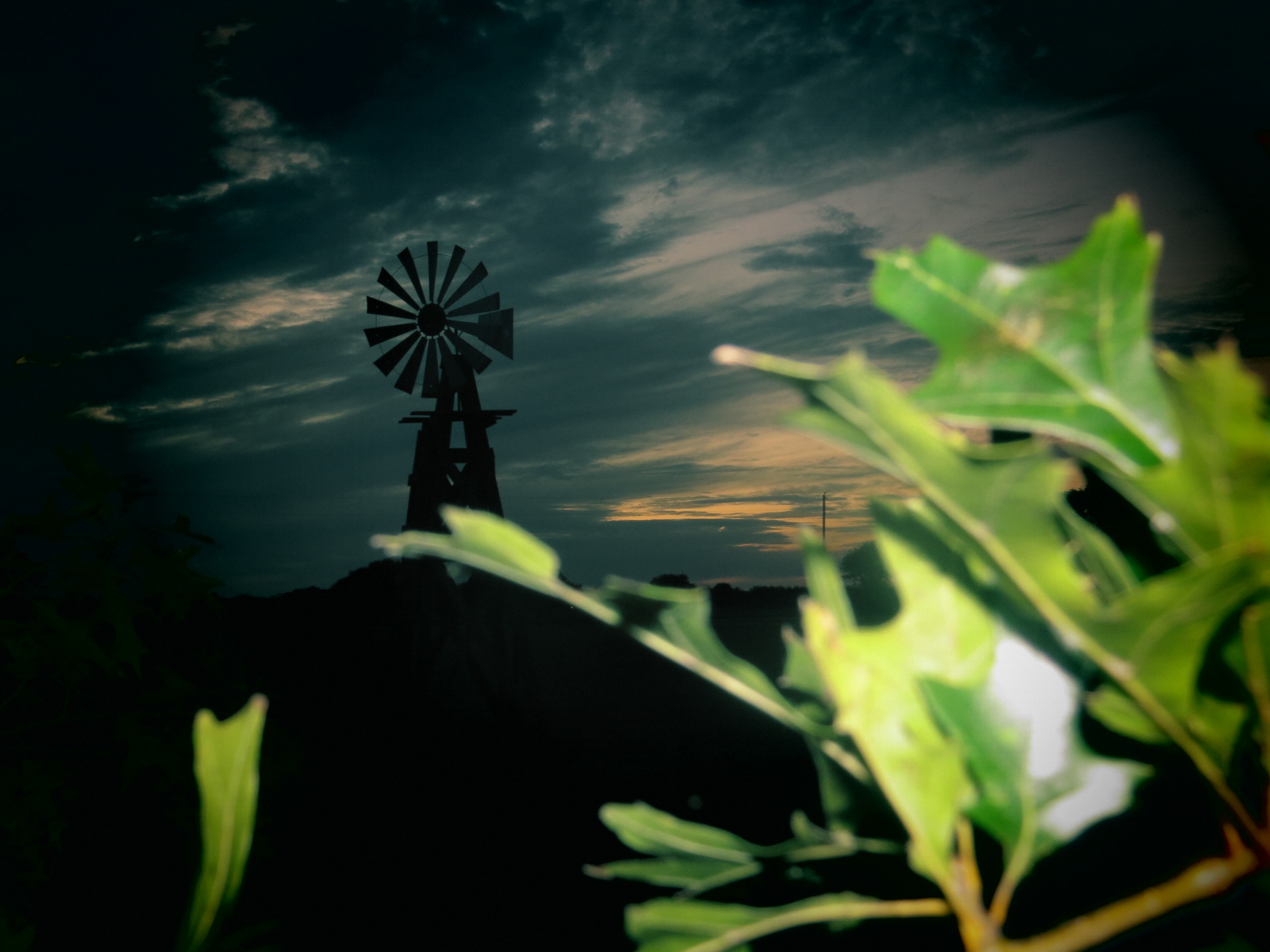 Texas Dusk