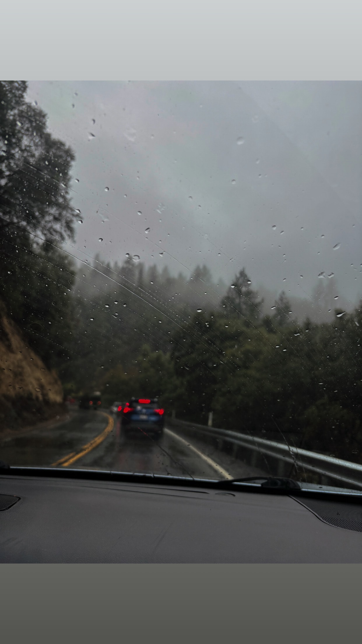 Into the Mist